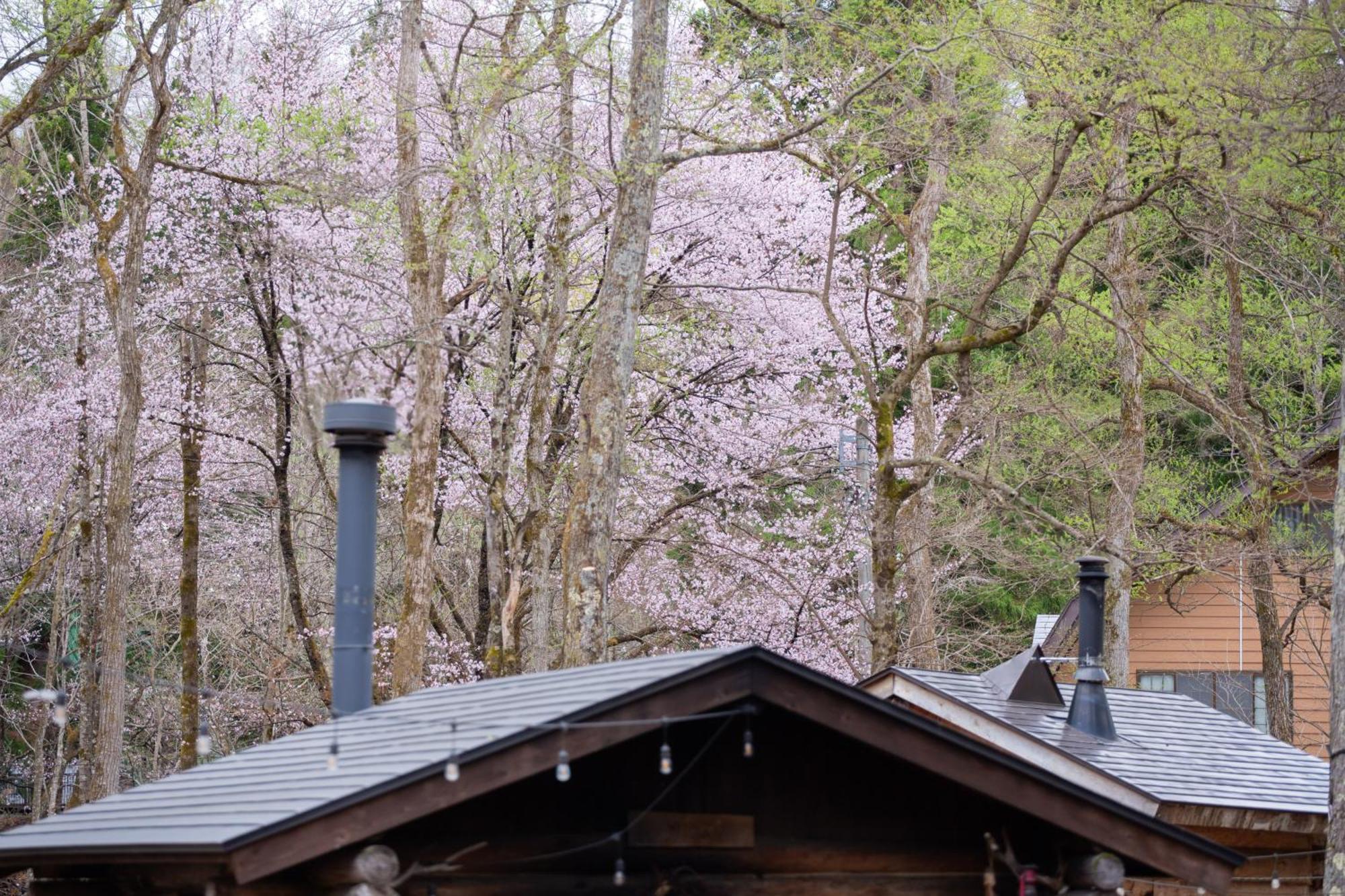 Lamp Nojiriko Hotel Shinano  ภายนอก รูปภาพ